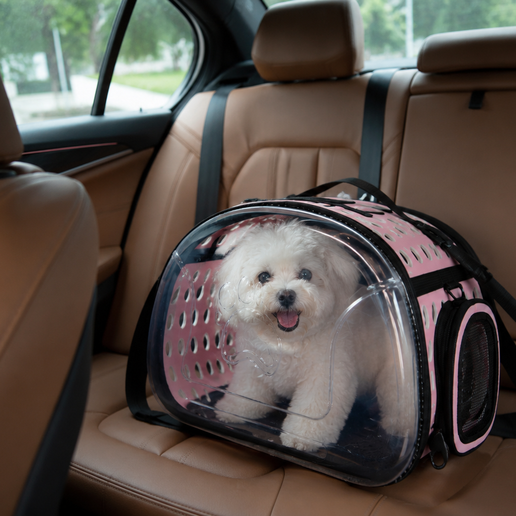 Transparent Carrier Bag for Dogs and Cats
