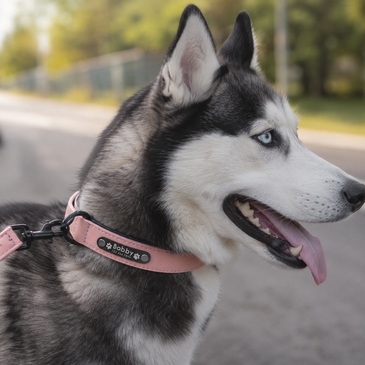 Personalized Leather Dog Collars