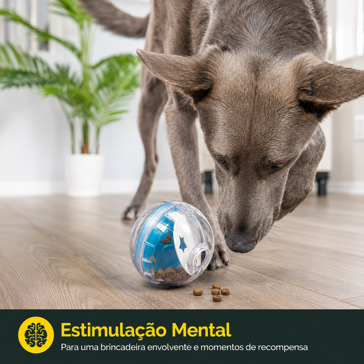 Treat-Dispensing Ball for Dogs