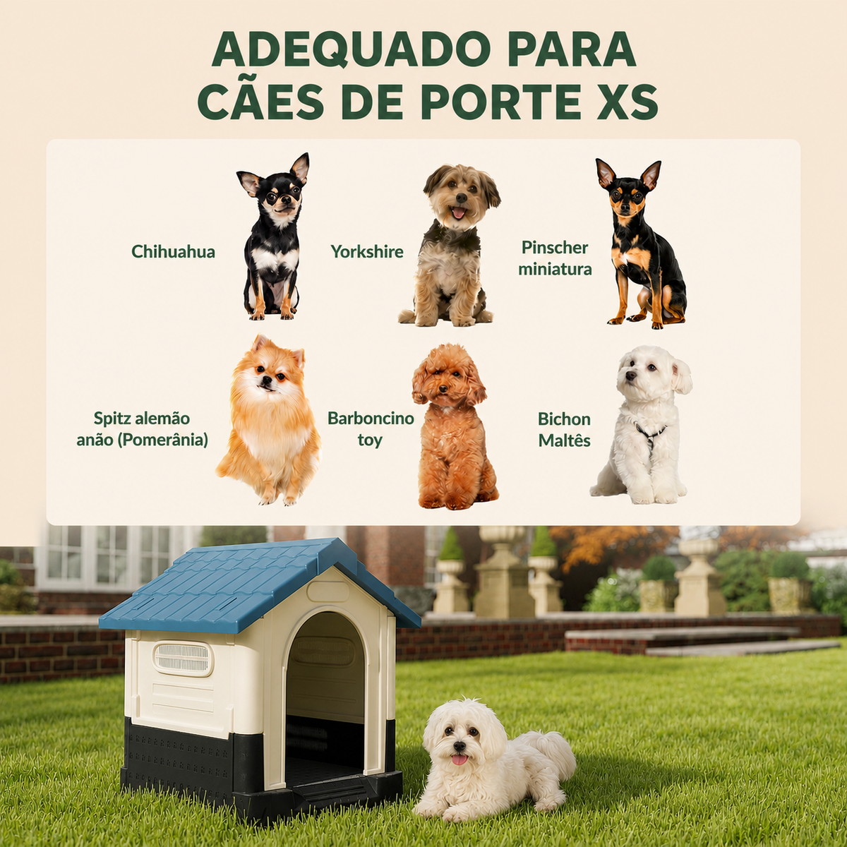 Outdoor Dog House for Comfort