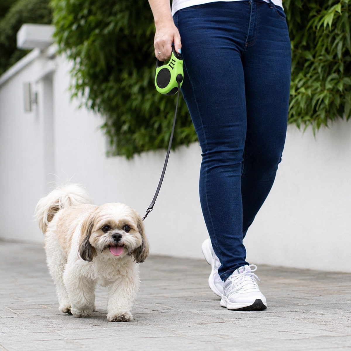 Hands-Free Dog Leash