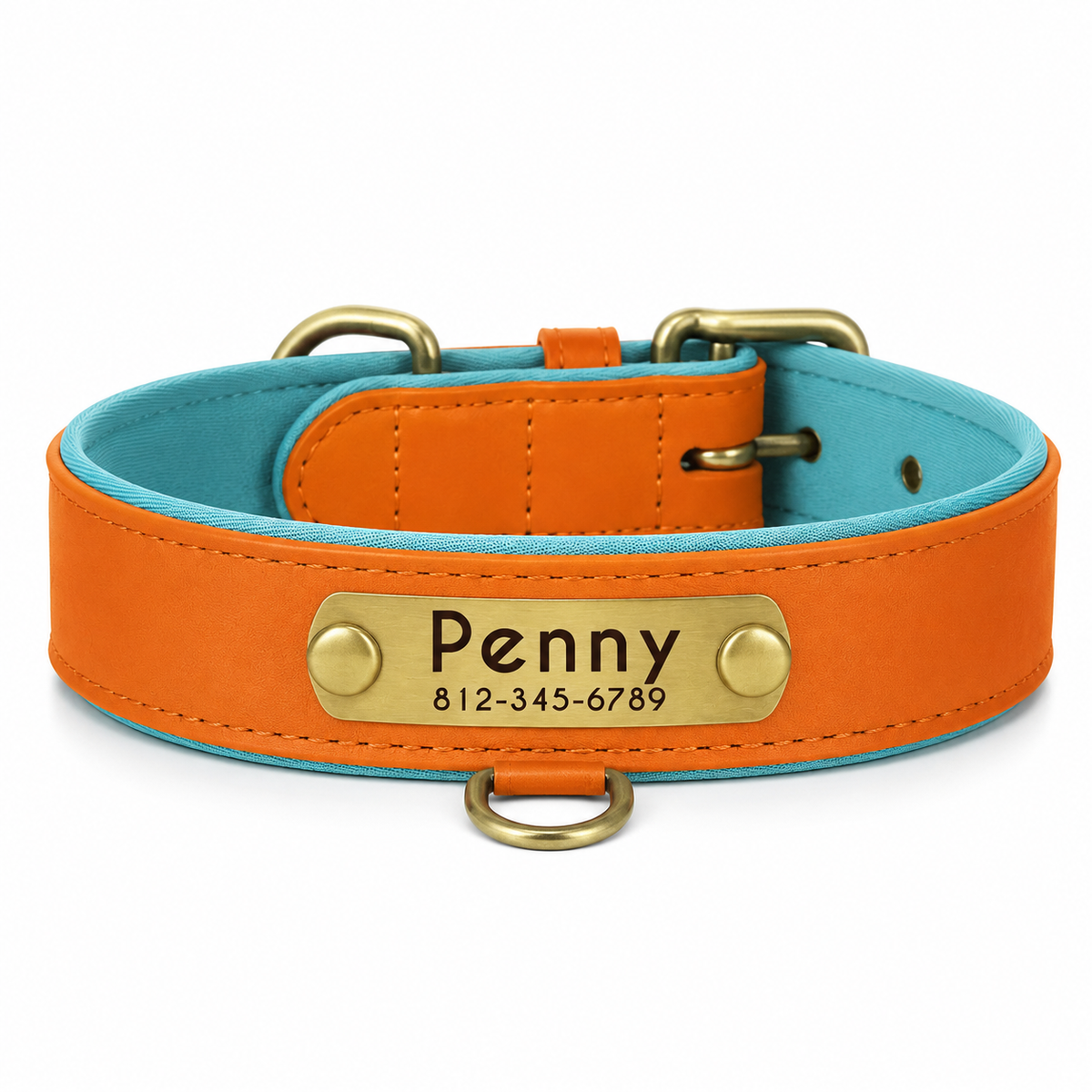 Premium Dog Collar with ID