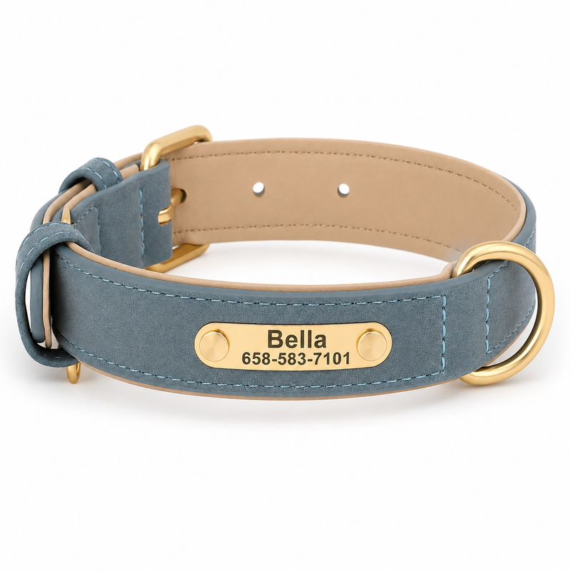 Personalized Dog Collar for Small, Medium, and Large Dogs - MimoCao