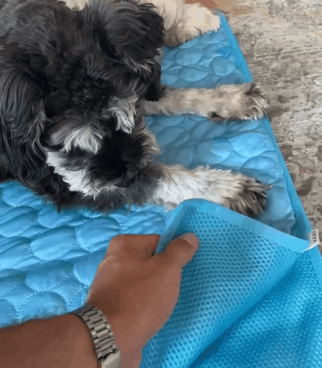 Cooling Mat for Dogs and Cats