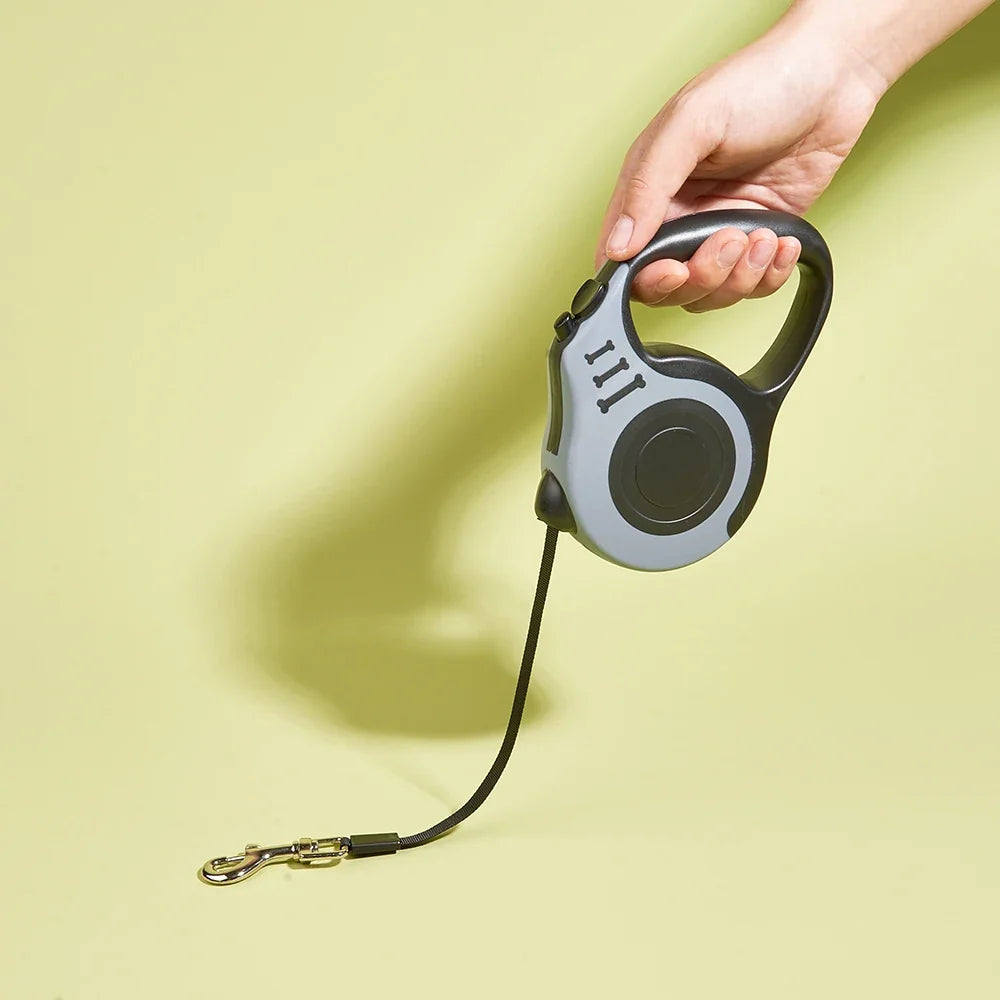Hands-Free Dog Leash