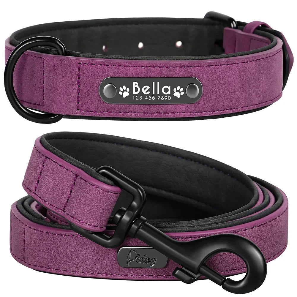 Personalized Leather Dog Collar and Leash