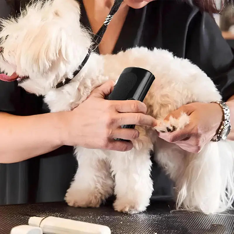 Professional Deshedding Brush for Dogs and Cats