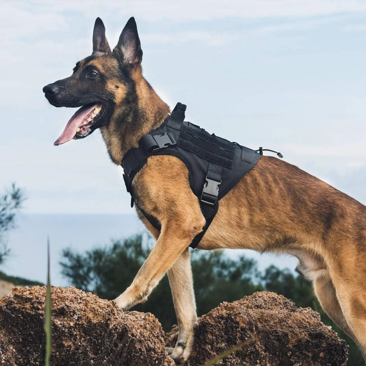 K9 Dog Vest Harness