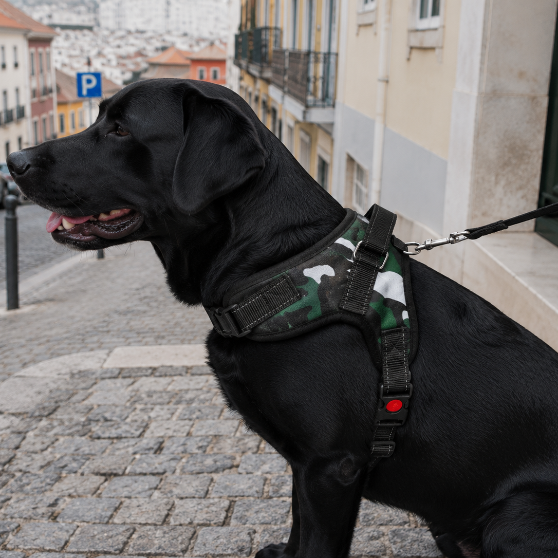 Dog Harness for Small, Medium, and Large Dogs